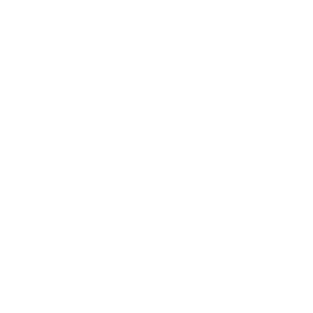 Ollama Icon